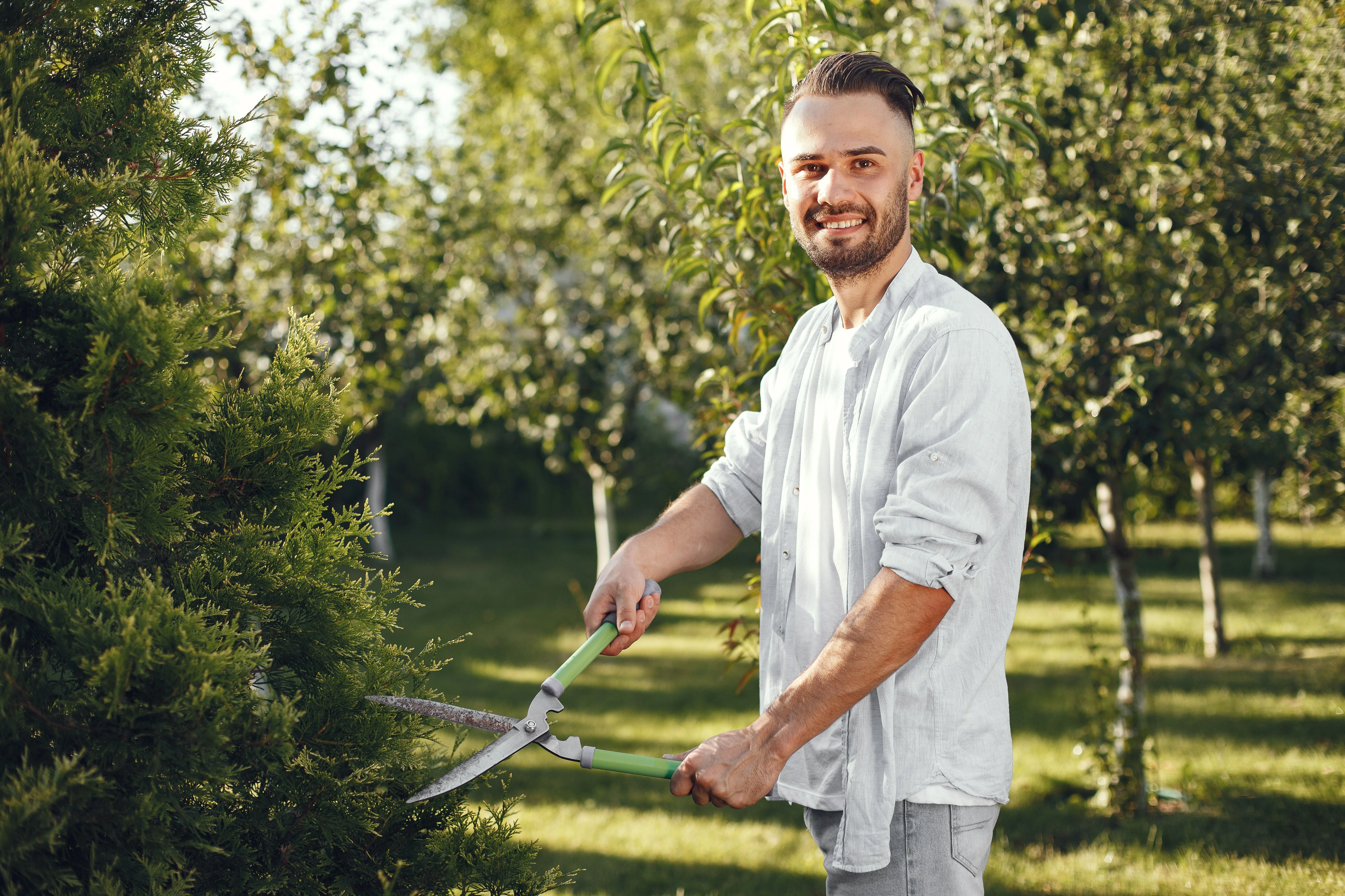 Fall landscaping and pruning